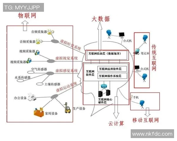 掘金平台深度分析：如何利用大数据与算法优化个人投资策略